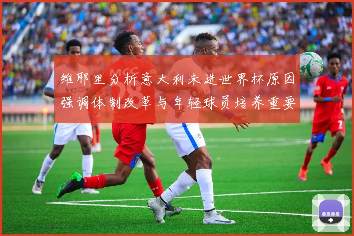 维耶里分析意大利未进世界杯原因强调体制改革与年轻球员培养重要性