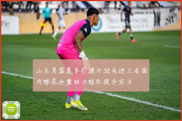 山东男篮夏季引援计划或迎三名国内球员加盟助力球队提升实力